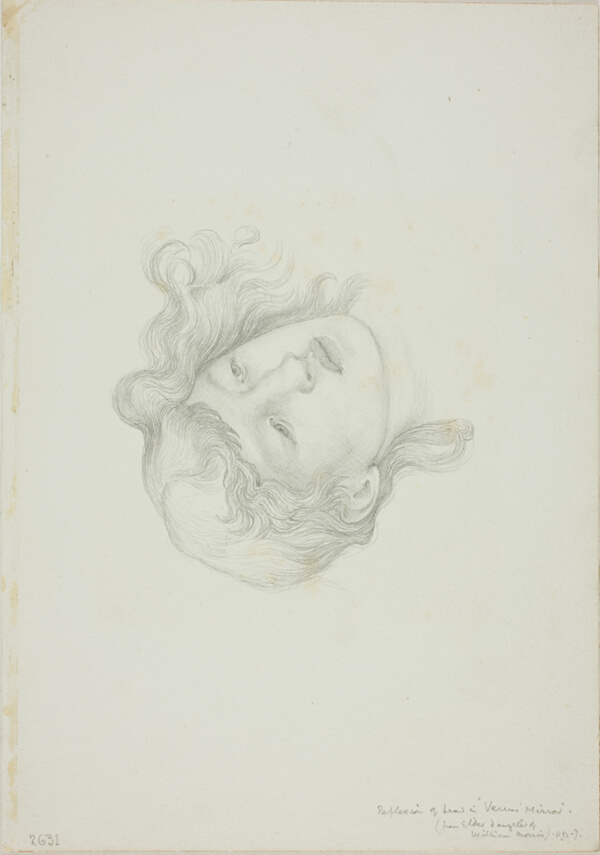 Reflection of Head, study for Mirror of Venus