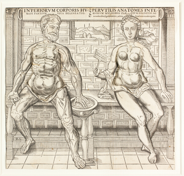 Interiorum corporis humani partium viva delineatio, from the second edition of the Compendiosa totius anatomie delineation