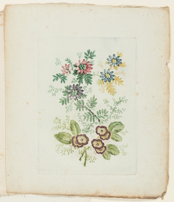 Plate, from New Suite of Notebooks of Ideal Flowers for Use by Draftsmen and Painters