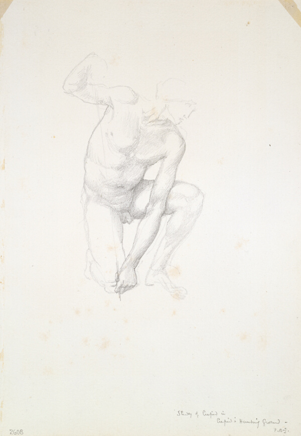 Study for Cupid
