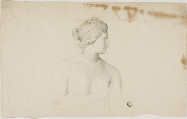 Study of the Medici Venus