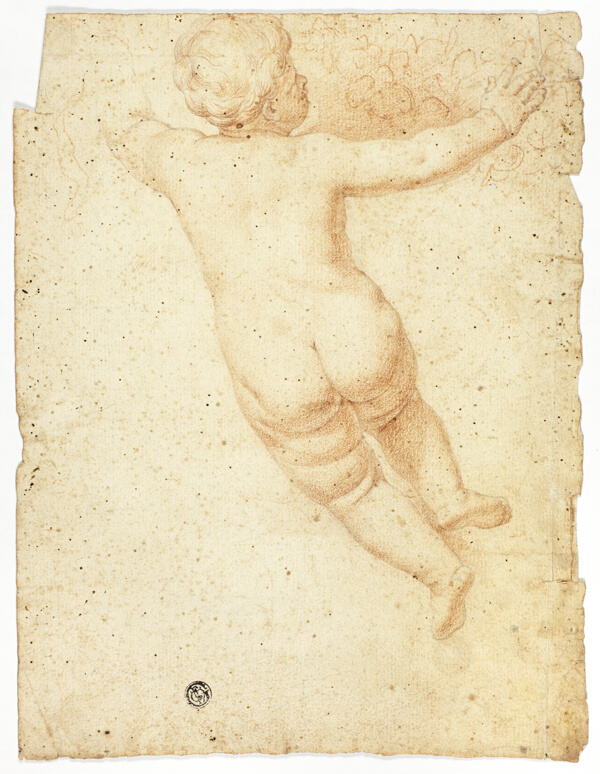 Putto from Back
