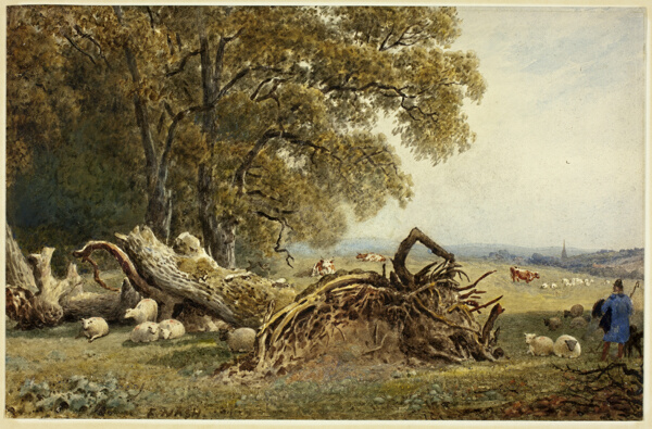 Sheep, Cows, and Herdsman by Uprooted Tree