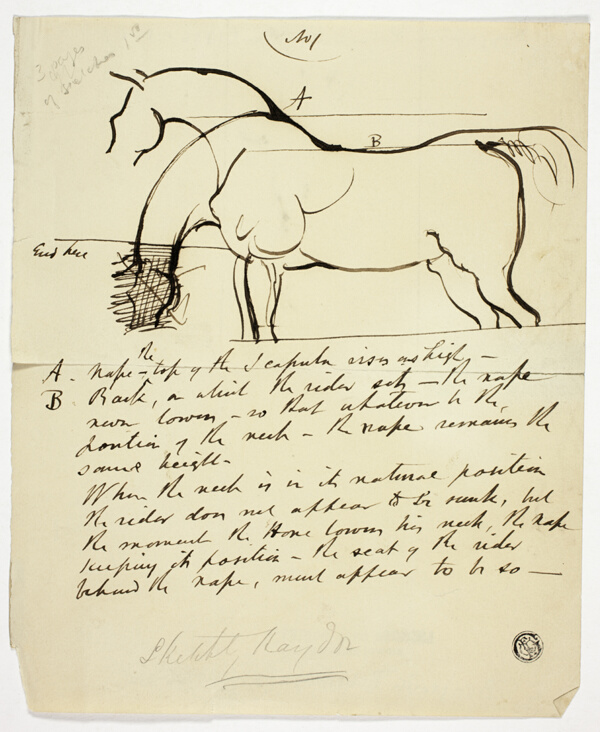 Sketch of Horse with Notations