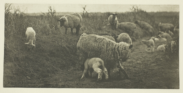 A March Pastoral (Suffolk)