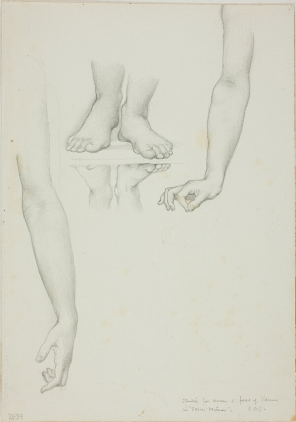 Study for Mirror of Venus: Arms and Feet of Venus