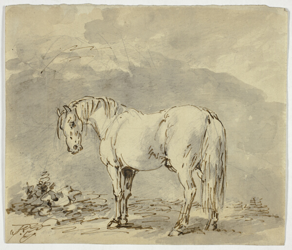 Standing Horse with Head Turned