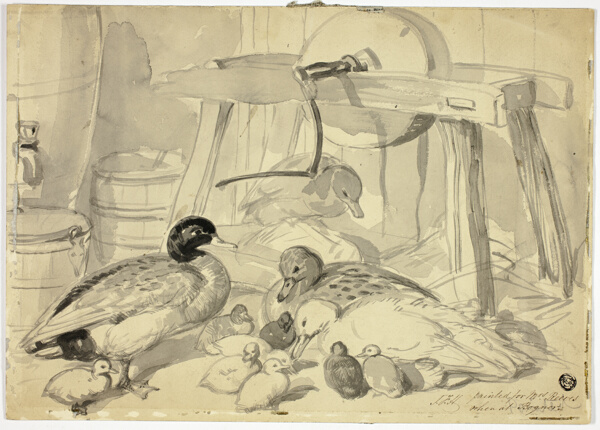 Ducks, Ducklings and Grindstone
