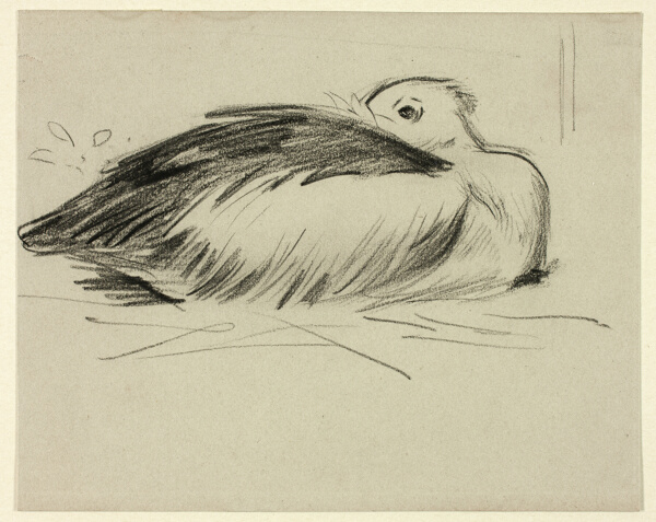 Sketch of Nesting Stork