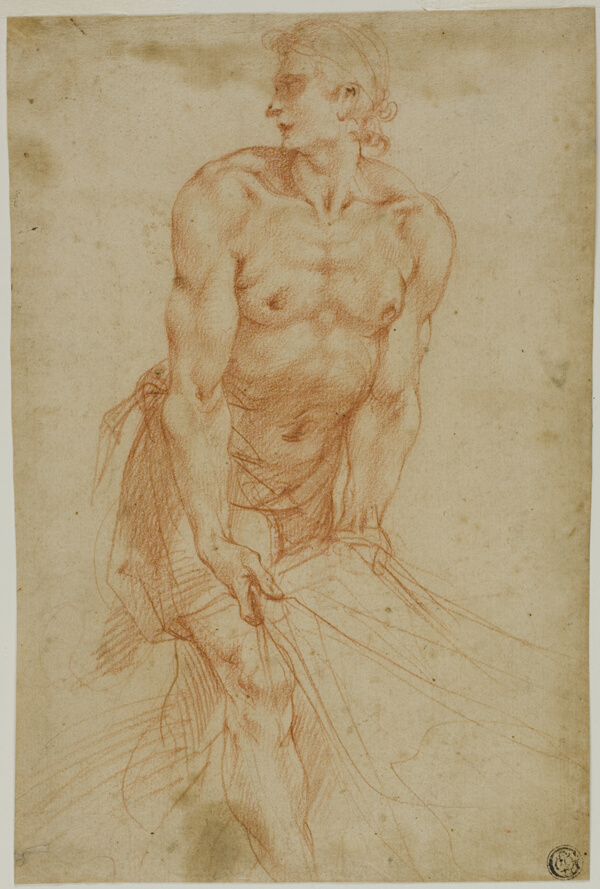 Man Tugging on Sheet: Study for the Entombment [Sacristy of the Certosa di San Martino, Naples, 1596]
