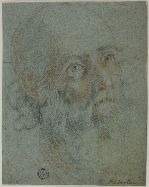 Head of a Bearded Man, Looking Up to Right: Study for Saint Catherine of Alexandria Disputing with the Pagan Priests