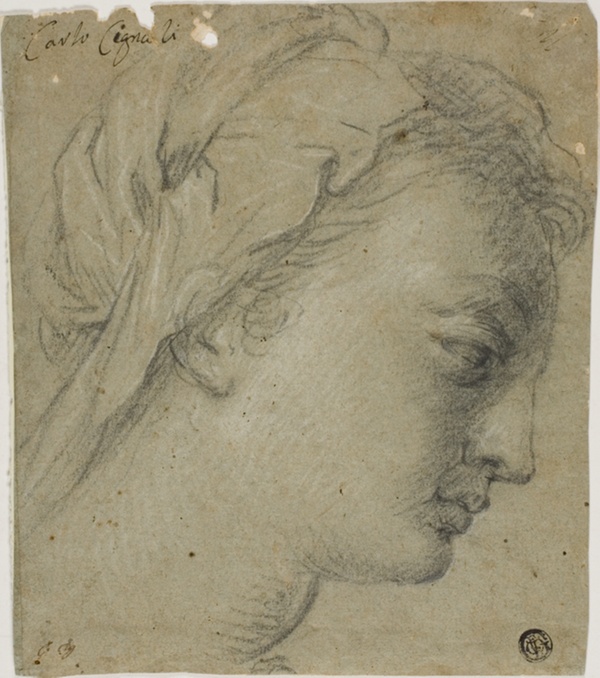 Female Head in Profile to Right