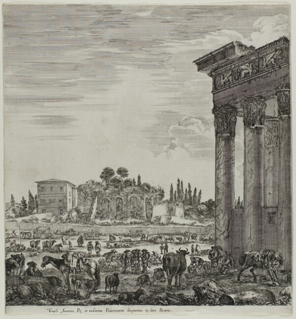 The Temple of Antonin and the Campo Vaccino