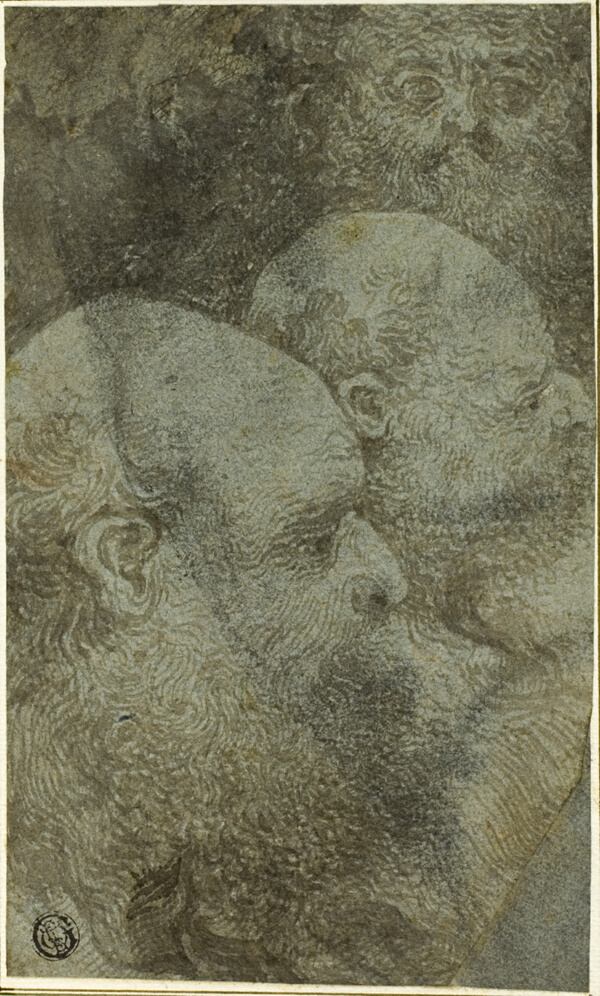Three Bearded Male Heads, Two in Profile to the Right