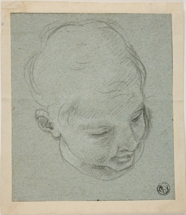 Young Boy's Head