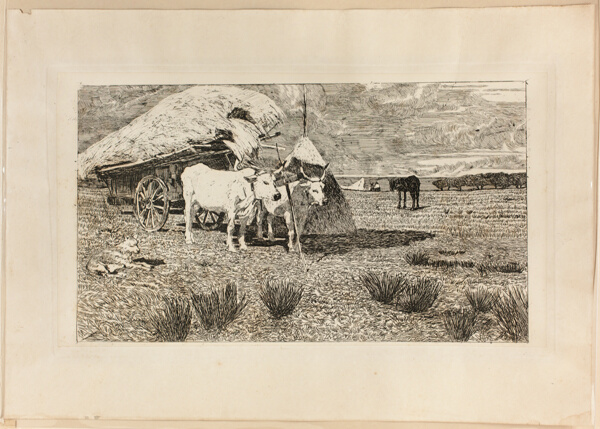 Oxen and Wagon (Maremma)