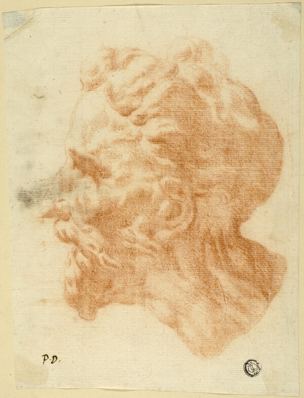 Head of Bearded Man in Profile to Left