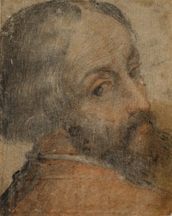 Portrait of Bearded Man (Lodovico Ariosto?)
