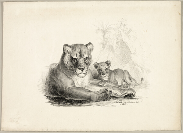 Lion with Cubs