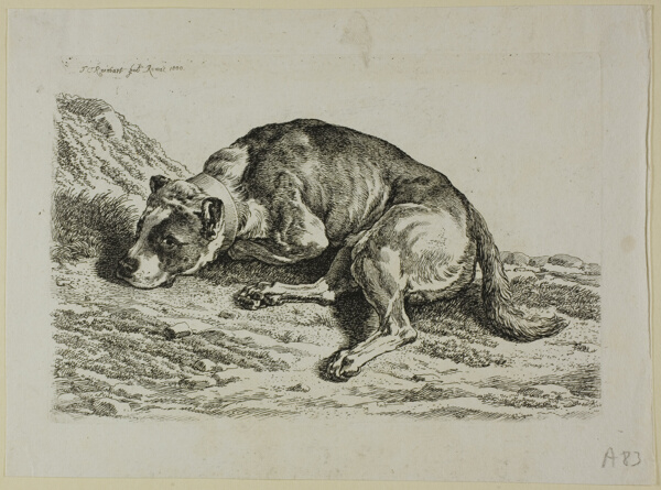 Dog Laying Down, from from Die Zweite Thierfolge