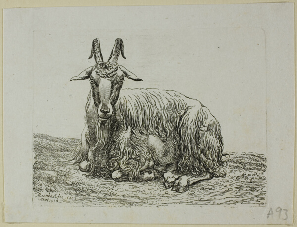 Lying Goat, from Die Zweite Thierfolge