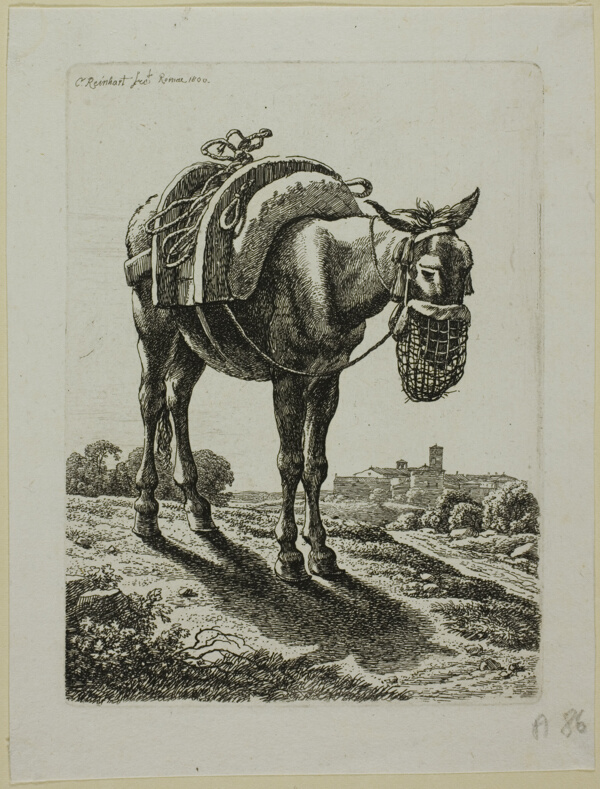 Feeding Mule - Front, from Die Zweite Thierfolge