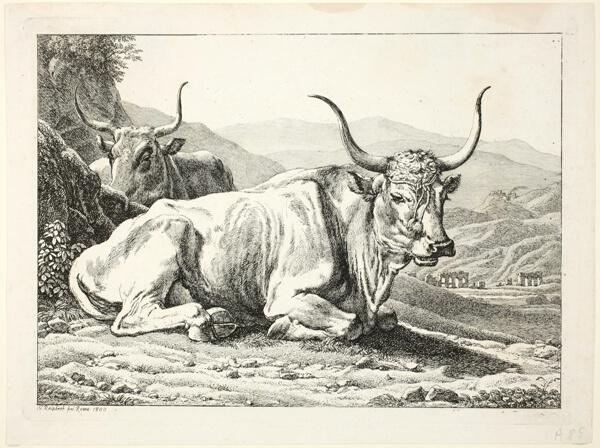 Two Roman Bulls Resting, from Die Zwiete Thierfolge