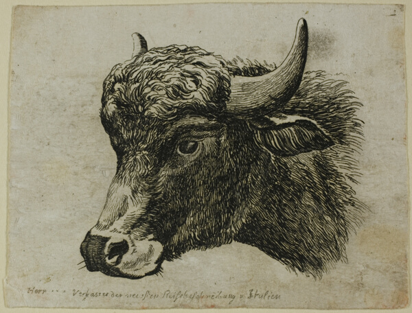 Buffalo Head Facing Left, from Die Zweite Thierfolge