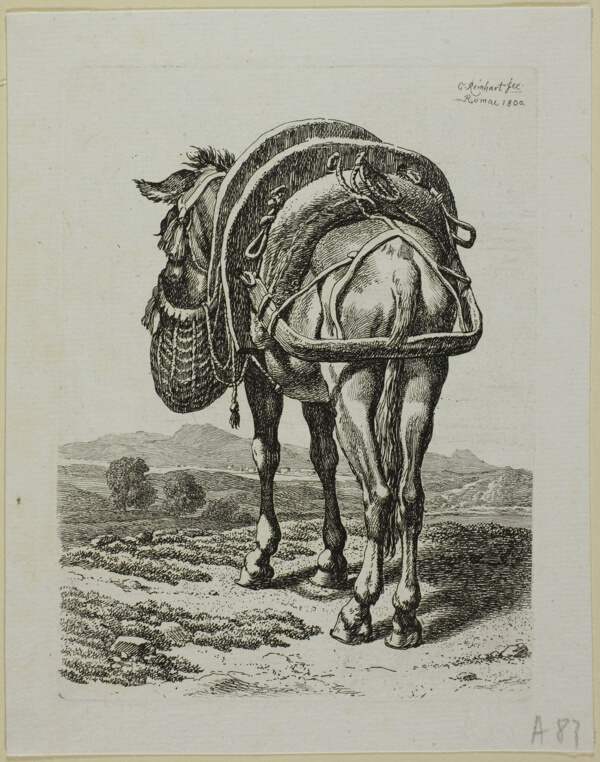 Feeding Mule - Rear, from Die Zweite Thierfolge