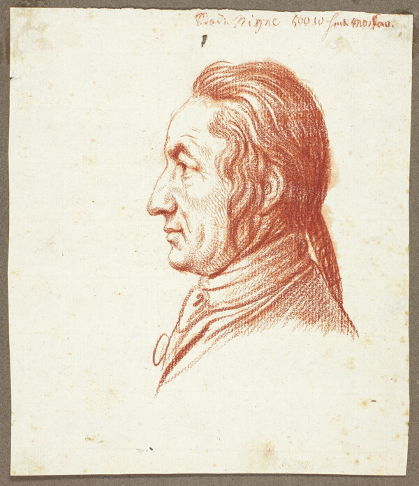 Portrait Head of a Man in Profile