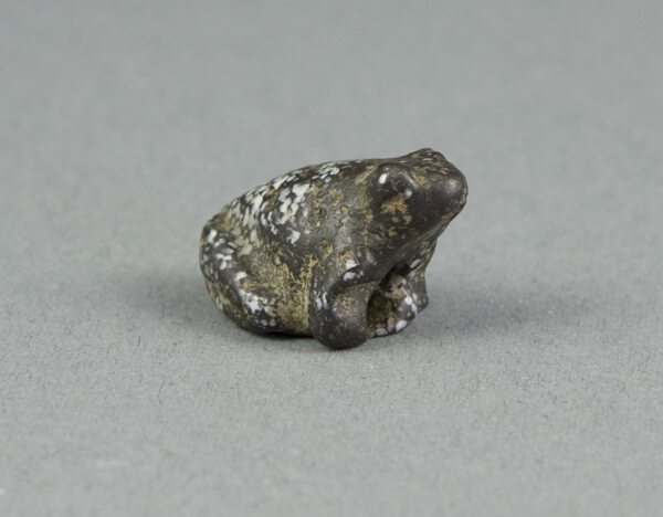 Amulet of a Frog