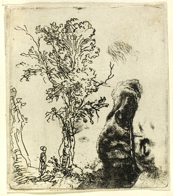 Sheet with Two Studies: A Tree, and the Upper Part of the Head of the Artist Wearing a Velvet Cap