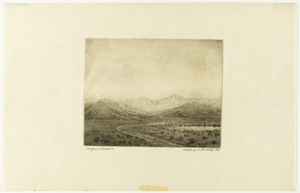 Mojave Desert, No. 2
