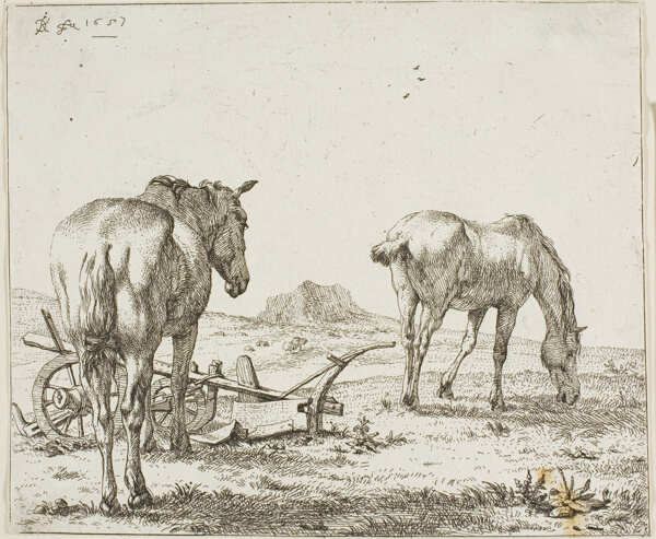 Two Horses by a Plough