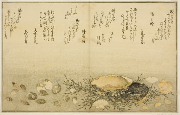 Chidori-gai, itaya-gai, awabi, utsuse-gai, asari-gai, and monoara-gai, from the illustrated book 