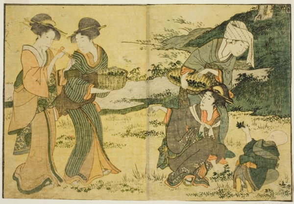 Gathering Spring Herbs, from the illustrated book 