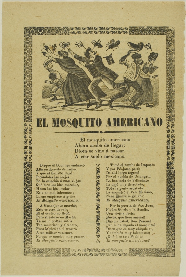 The American Mosquito