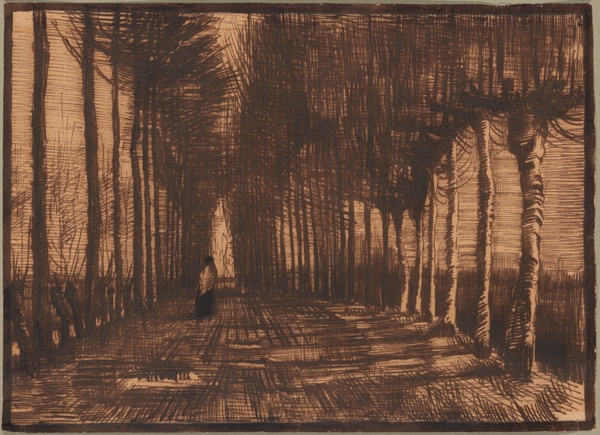 Avenue of Pollard Birches and Poplars