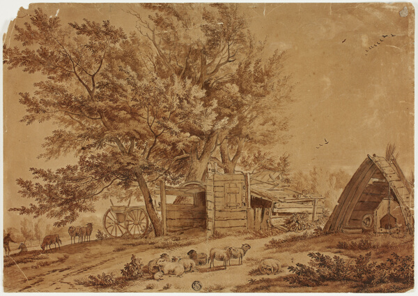 Rustic Scene with Sheep, Sheds, and Spreading Trees