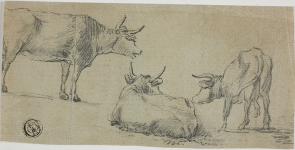 Three Sketches of Cows
