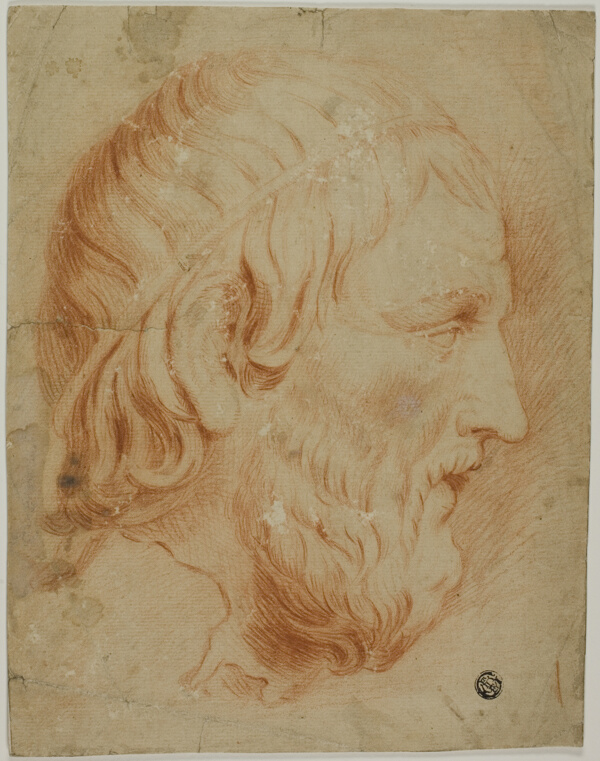 Classical Profile of Bearded Man