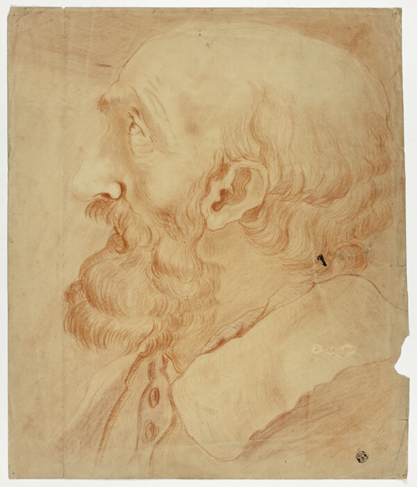 Head of Bearded Man in Profile