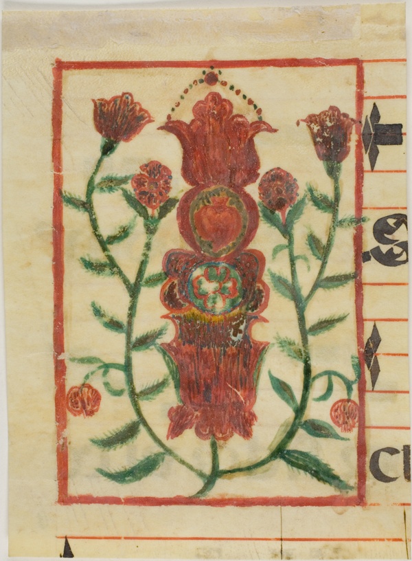 Decorated Initial with Flowers from a Manuscript
