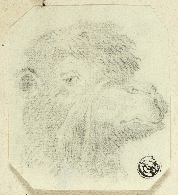 Camel's Head Facing Right
