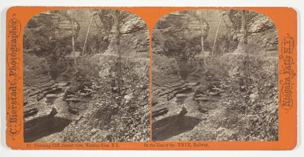 Frowning Cliff, distant view, Watkins Glen, N.Y., No. 17 from the series 