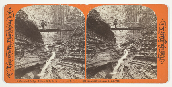 Cathedral Bridge, Buttermilk Falls, Watkins Glen, N.Y., No. 10 from the series 