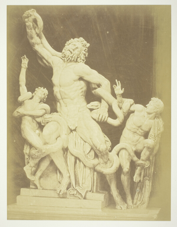 Untitled (Statue of the Laocoon)