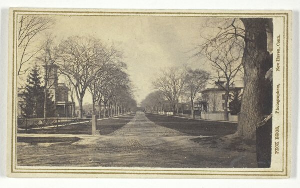 Hillhouse Avenue