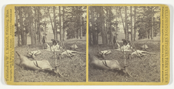 Successful Hunters dressing Elk, No. 56 from the series 
