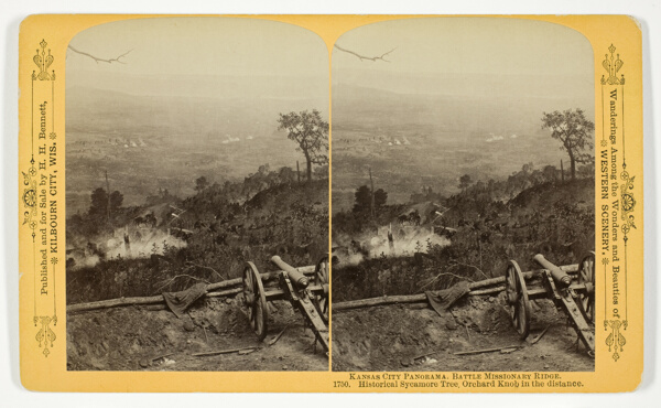Historical Sycamore Tree, Orchard Knob in the distance, No. 1750 from the series 